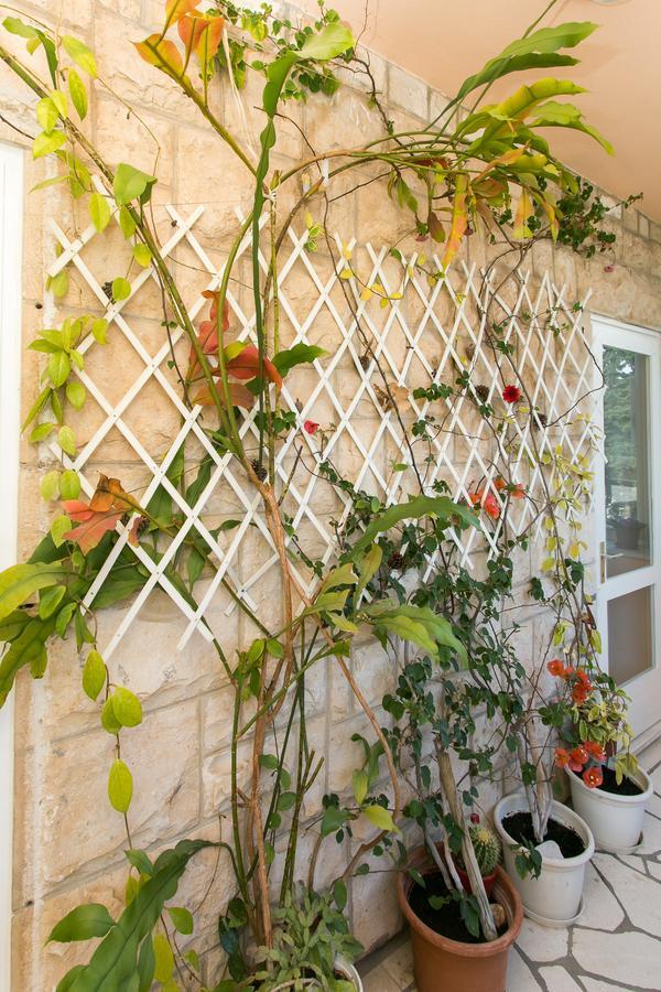 Yellow Room Guesthouse دوبروفينك المظهر الخارجي الصورة